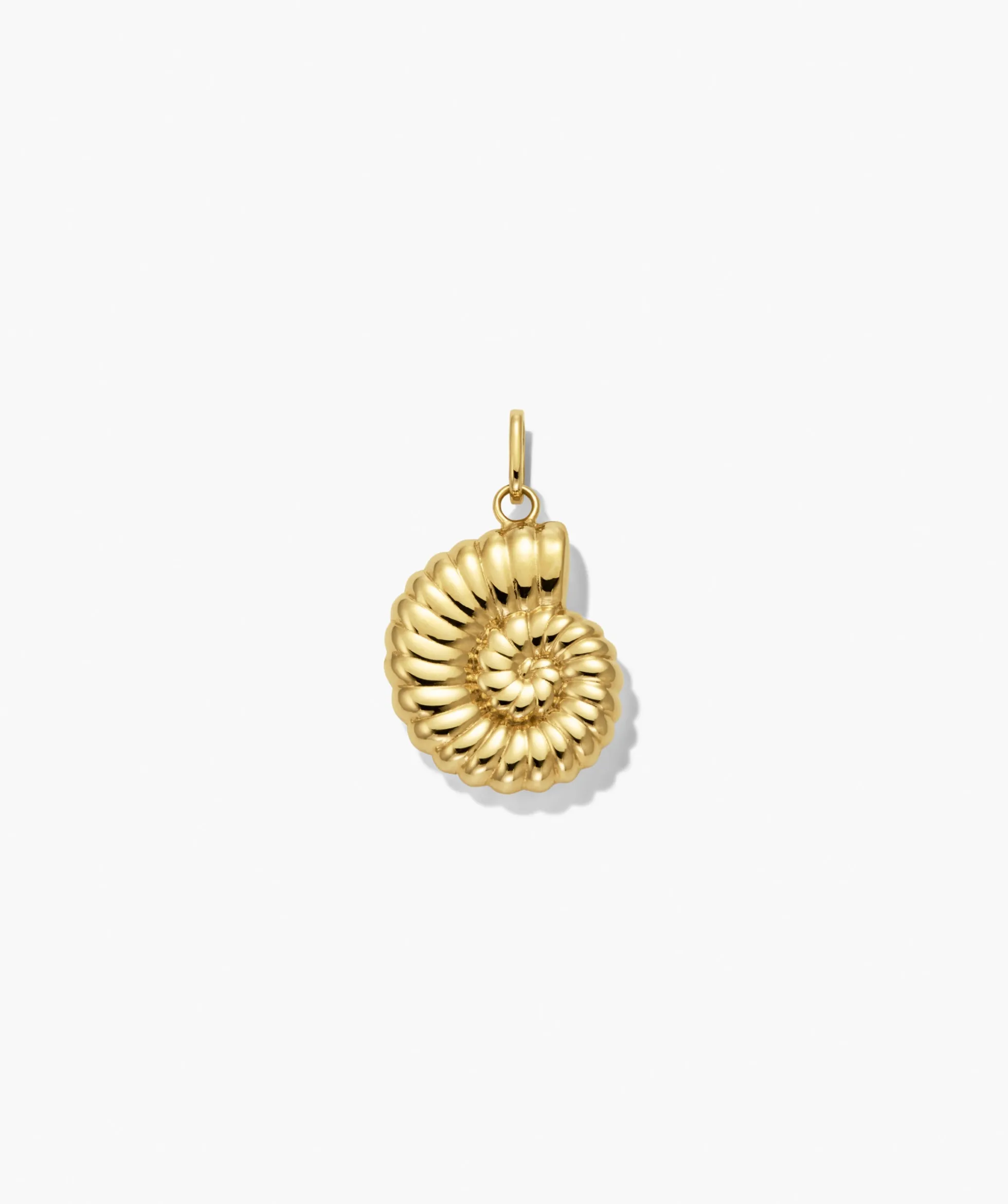 Ammonite Charm