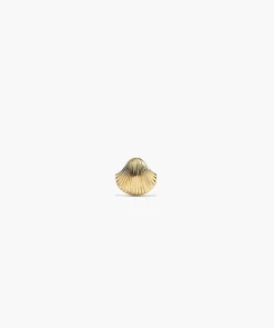 Single Maris Shell Mini Stud