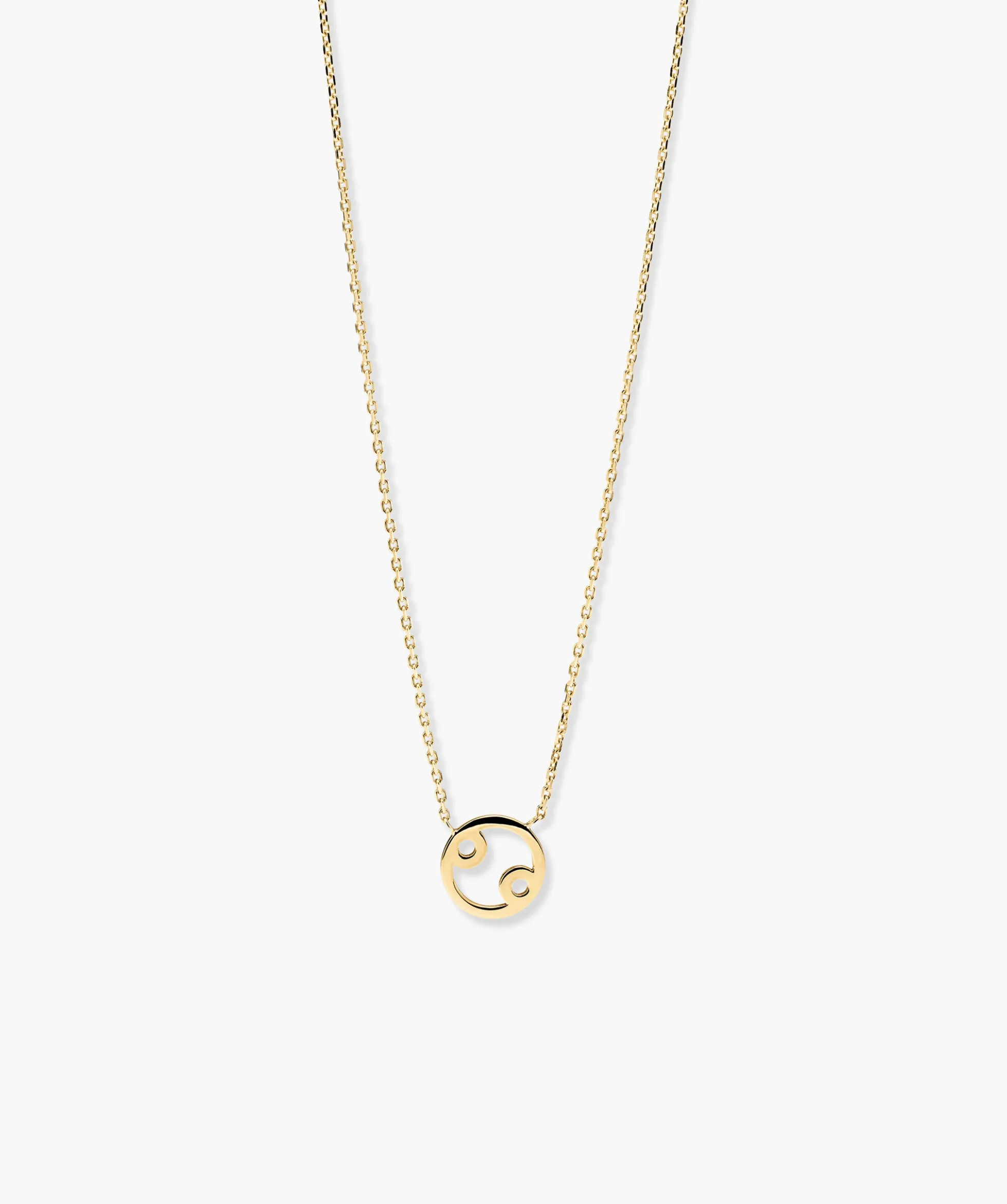 Zodiac Sign Necklace